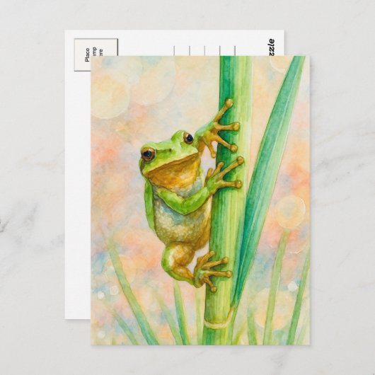 Waterverf Springtime Frog Briefkaart Postcrossing (Voorkant / Achterkant)
