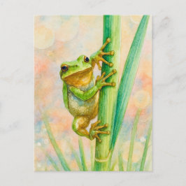 Waterverf Springtime Frog Briefkaart Postcrossing