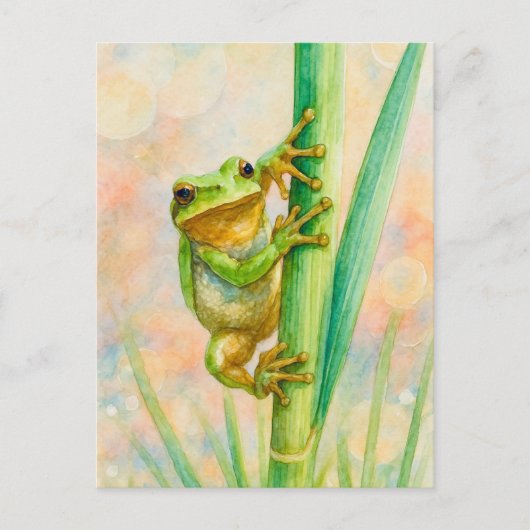 Waterverf Springtime Frog Briefkaart Postcrossing (Voorkant)