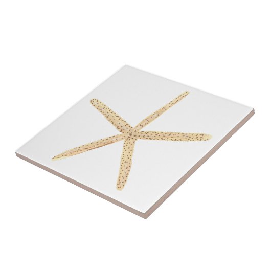 Waterverf Starfish Seashell Tegeltje (Zijkant)