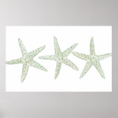 Waterverf Starfish Trio Poster (Voorkant)