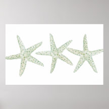 Waterverf Starfish Trio