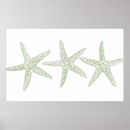 Waterverf Starfish Trio Poster
