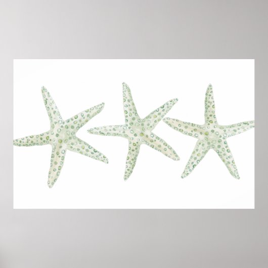 Waterverf Starfish Trio Poster (Voorkant)