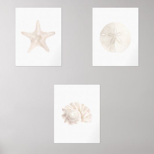 Waterverf Starfish Zand Dollar Zee Shell Beach Muurkunst Sets (Voorkant)