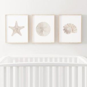 Waterverf Starfish Zand Dollar Zee Shell Beach Muurkunst Sets