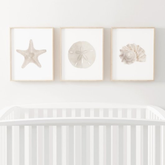 Waterverf Starfish Zand Dollar Zee Shell Beach Muurkunst Sets