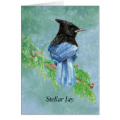 Waterverf Stellar Jay Bird Natuur (Voorkant)
