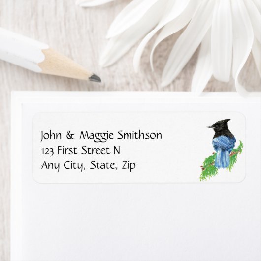 Waterverf Stellar Jay Bird Natuur Art Etiket (Insitu)