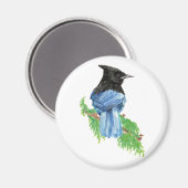 Waterverf Stellar Jay, Bird, Natuur Collectie Magneet (Voorkant / Achterkant)