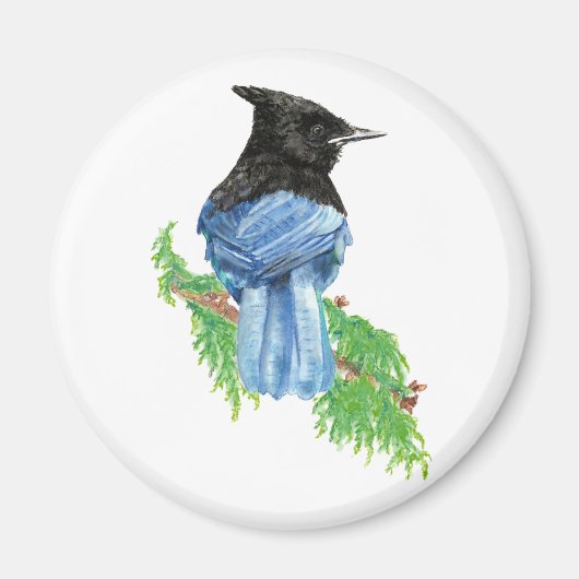 Waterverf Stellar Jay, Bird, Natuur Collectie Magneet (Voorkant)