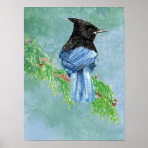 Waterverf Stellar Jay Bird Natuur Poster