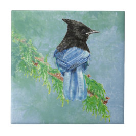Waterverf Stellar Jay Bird Wildlife Art Tegeltje