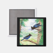 Waterverf Stellar Jay Vogels Bos Bomen Magneet (Voorkant / Achterkant)