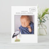 Waterverf Stork | Aankondiging van een tweeledige  (Staand voorkant)