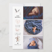 Waterverf Stork | Aankondiging van een tweeledige  (Achterkant)