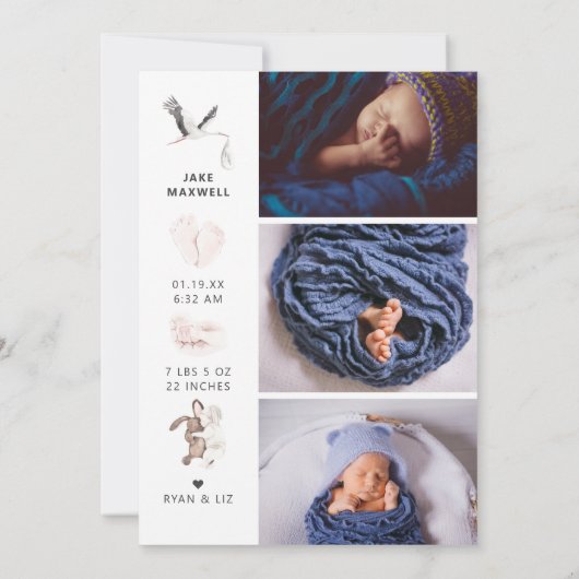 Waterverf Stork | Aankondiging van een tweeledige  (Achterkant)