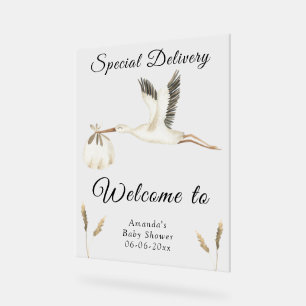 Waterverf Stork Baby shower Welkom Acryl Bord