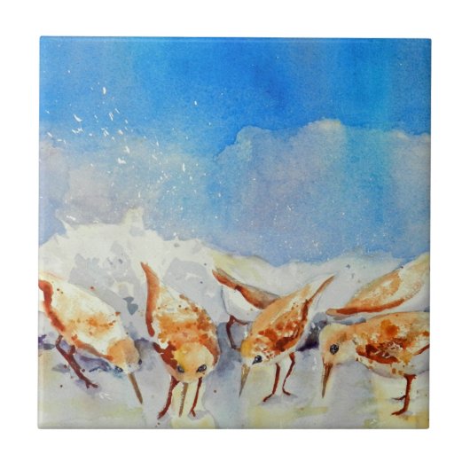 Waterverf strand vogels tegeltje (Voorkant)