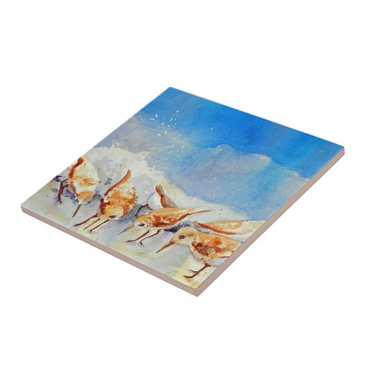 Waterverf strand vogels tegeltje (Zijkant)