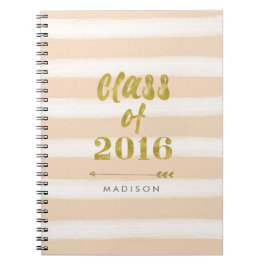 Waterverf Stripe en Faux Gold Foil Klasse 2016 Notitieboek