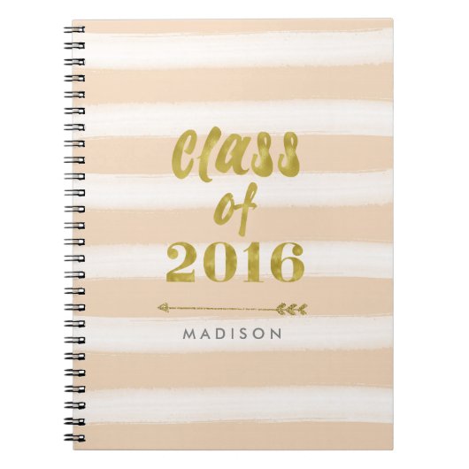 Waterverf Stripe en Faux Gold Foil Klasse 2016 Notitieboek (Voorkant)