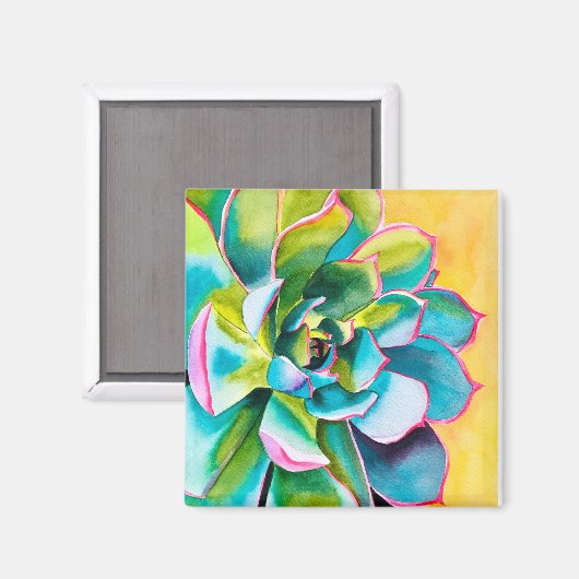 Waterverf succulent botanisch magneet (Voorkant / Achterkant)