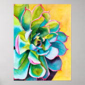 Waterverf succulent botanisch poster (Voorkant)