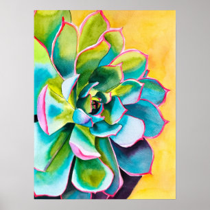 Waterverf succulent botanisch poster