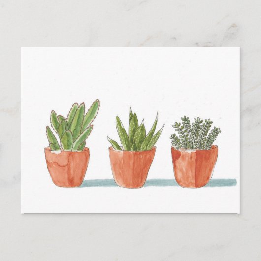 Waterverf Succulent Cactus Plant Briefkaart (Voorkant)