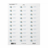 Waterverf Teddybeer Vliegtuig Etiket (Full Sheet)