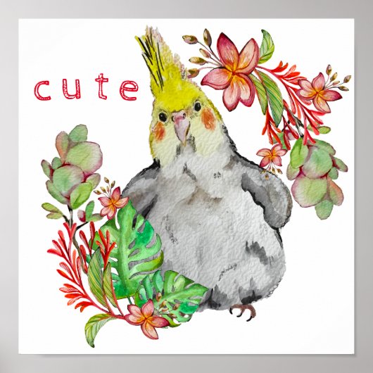 Waterverf tekening van een grappige papegaai in bl poster (Voorkant)