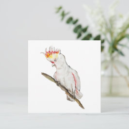 Waterverf tekening van een kaketoe papegaai