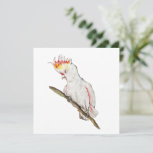 Waterverf tekening van een kaketoe papegaai