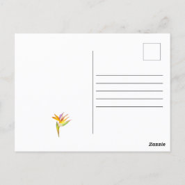 Waterverf tekening van een kaketoe papegaai briefkaart