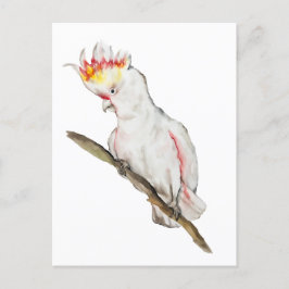 Waterverf tekening van een kaketoe papegaai briefkaart