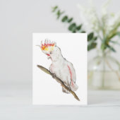 Waterverf tekening van een kaketoe papegaai briefkaart (Staand voorkant)