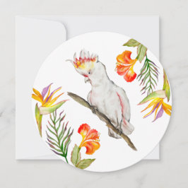 Waterverf tekening van een kaketoe papegaai kaart