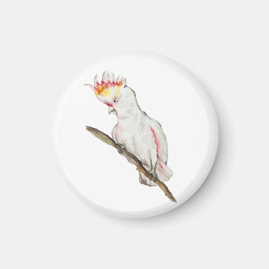 Waterverf tekening van een kaketoe papegaai magneet (Voorkant)