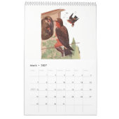 Waterverf Tekeningen vogel Kinderen 6 Kalender (Mar 2027)