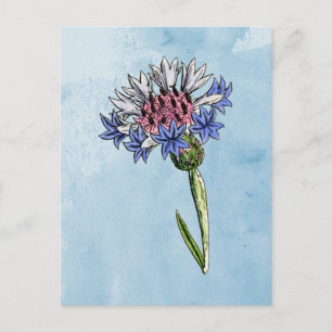 Waterverf Thistle Briefkaart