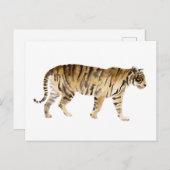 Waterverf Tiger Walking Briefkaart (Voorkant / Achterkant)