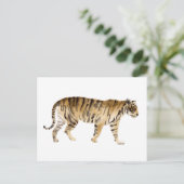 Waterverf Tiger Walking Briefkaart (Staand voorkant)