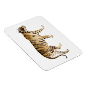 Waterverf Tiger Walking Magneet (Rechterzijde)