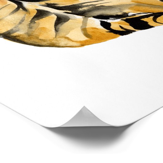 Waterverf tijger - zitting poster (Hoek)