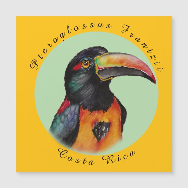 Waterverf toekan (Voorkant)