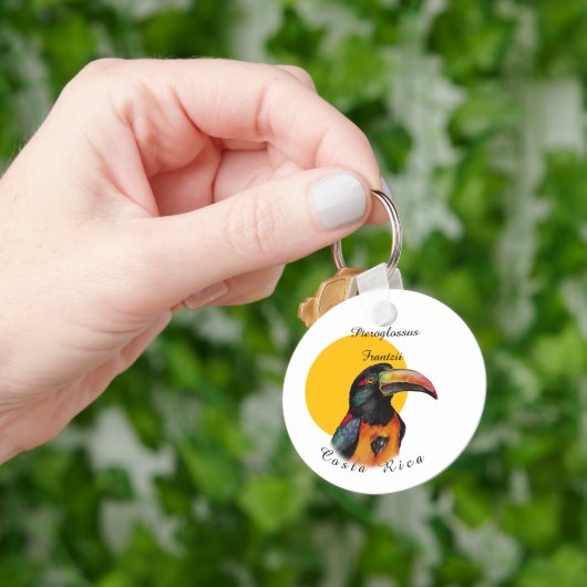 Waterverf toekan sleutelhanger (Hand)