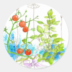 Waterverf tomato Herb Garden Vegetables Ronde Sticker