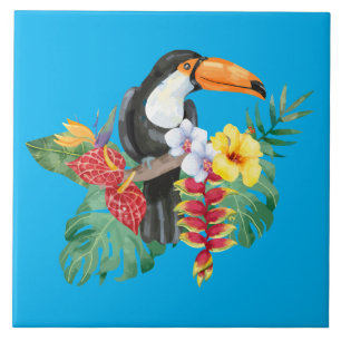 Waterverf Toucan Tegeltje