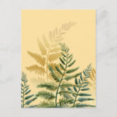 Waterverf Trees 2 Briefkaart (Voorkant)